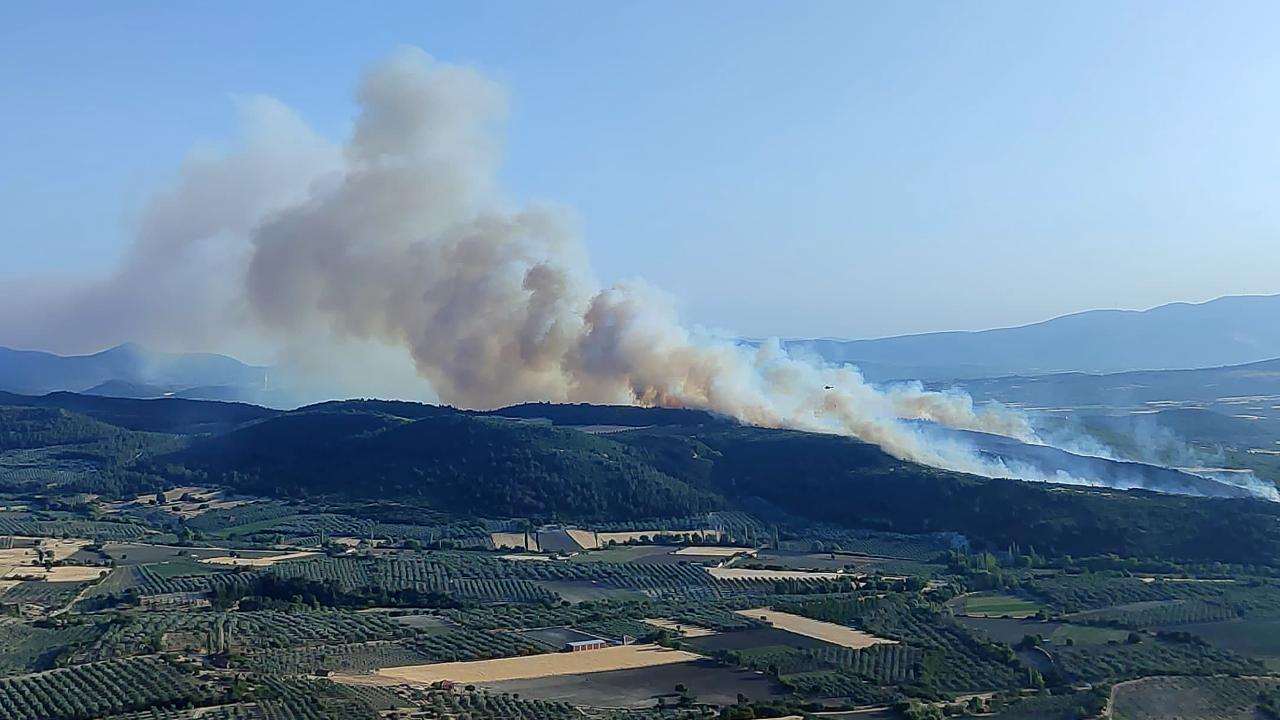 manisa-orman-yangini-aa-2373338.jpg