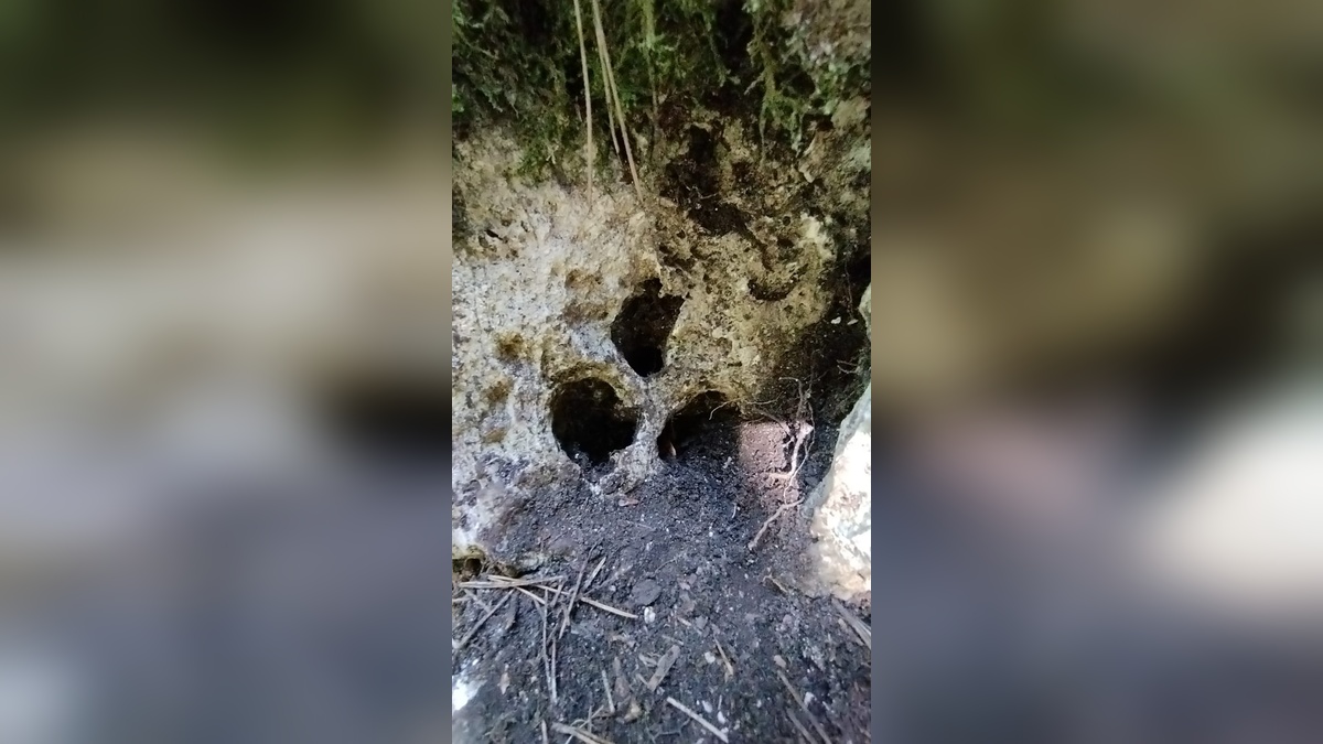 İnegöl'de kaçak kazı yapan iki şüpheli yakalandı