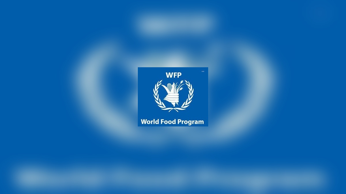 WFP: Gazze'ye gönderilen yardımlar yetersiz, İsrail'e çağrı