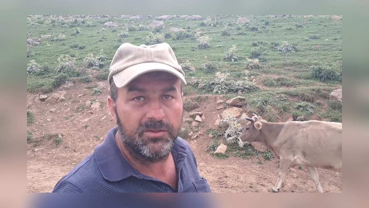 Artvin'in Geçitli köyünde şap salgını: Hayvanlar telef oluyor, destek yok