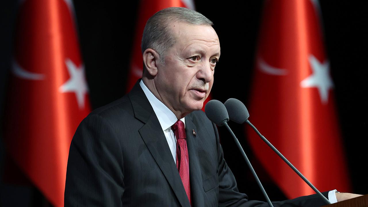 erdogan-2189616.jpg