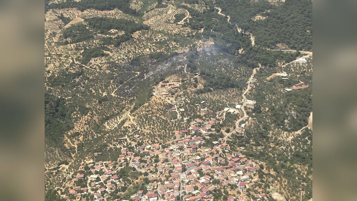 Germencik'te orman yangını: 2,5 saatte kontrol altına alındı