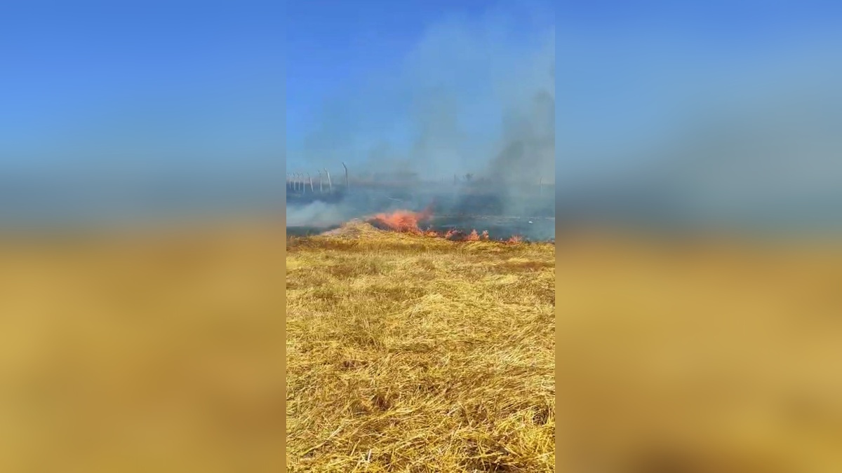 Arnavutköy'de tarla yangını: Vatandaşlar hortumla söndürdü