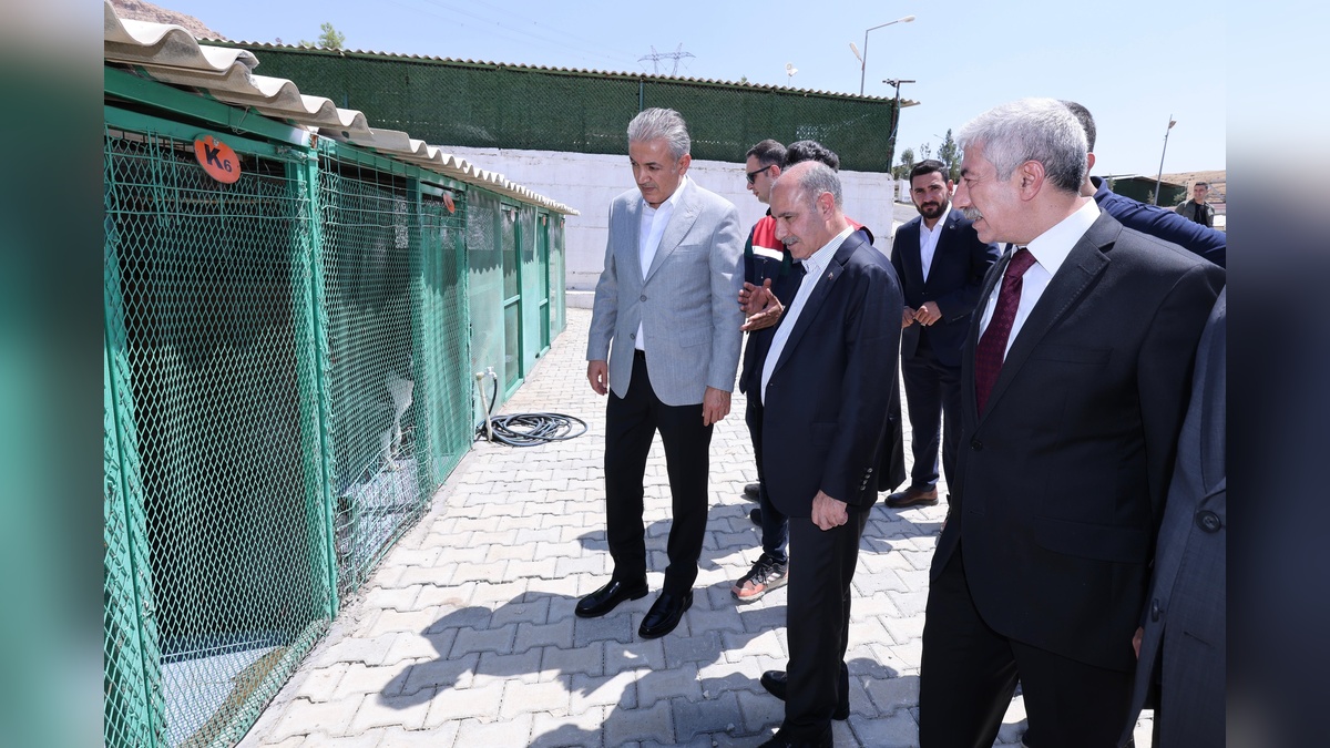 İçişleri Bakan Yardımcısı Aktaş: Mardin'de sahipsiz hayvanlar için modern bir yaşam alanı