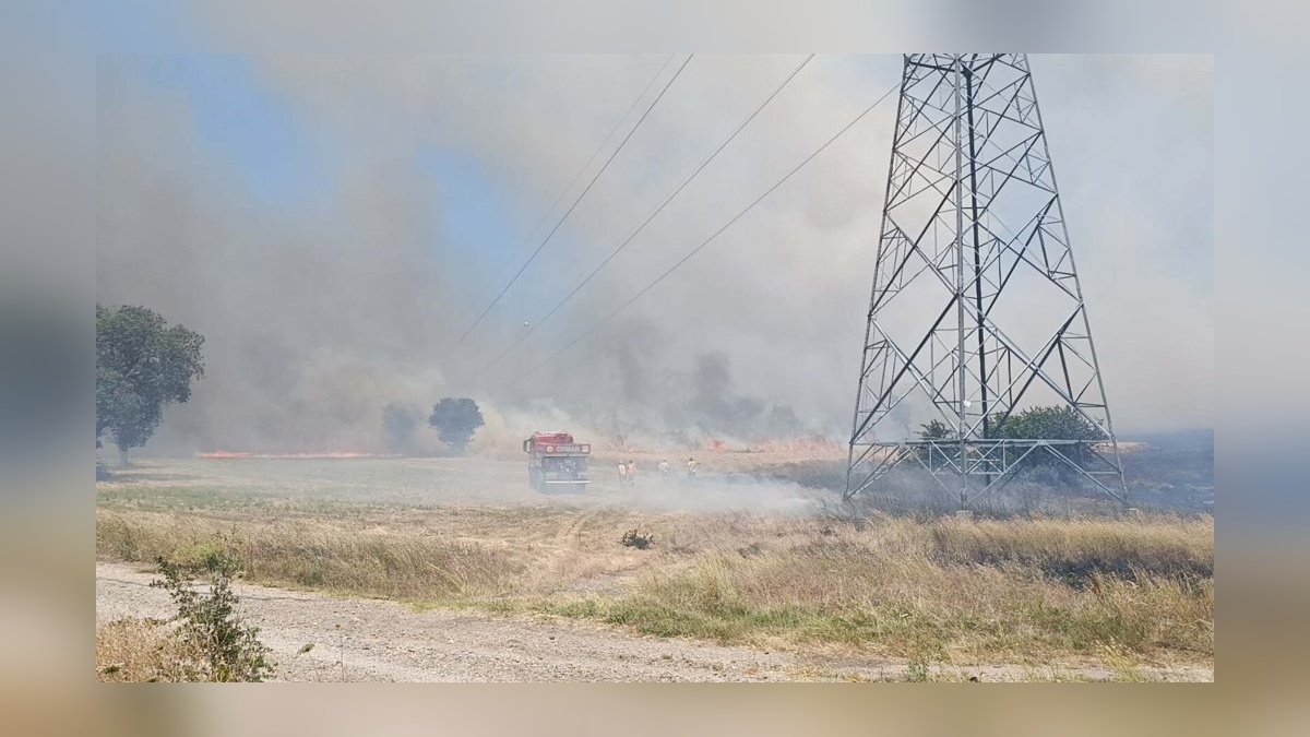 Çan'da tarım arazisi yangını: Havadan ve karadan müdahale sürüyor