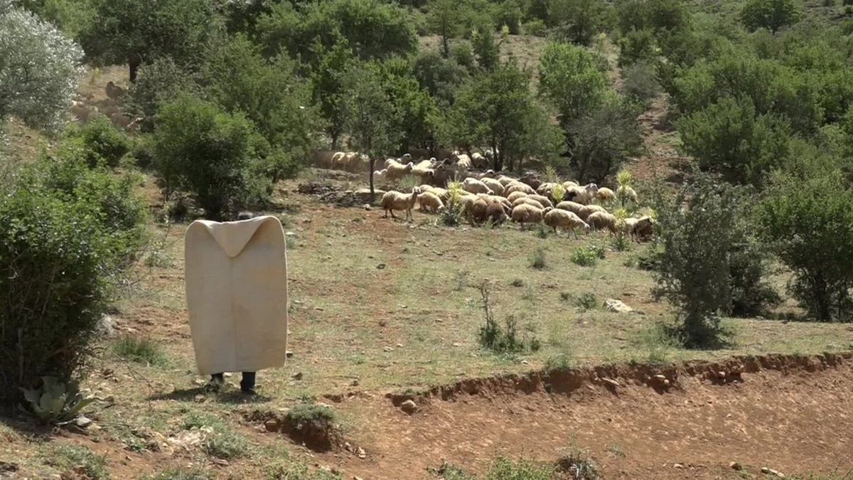 Malatya'da Babacan Mahallesi'ndeki yetiştiricilerden yardım çığlığı
