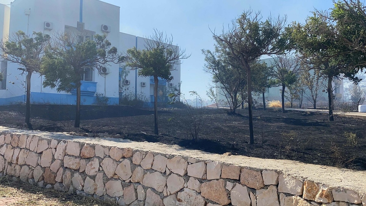 Didim'de yangın sosyal tesise sıçradı