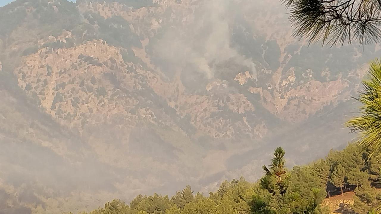hatay-yangin-dha-2388757.jpg
