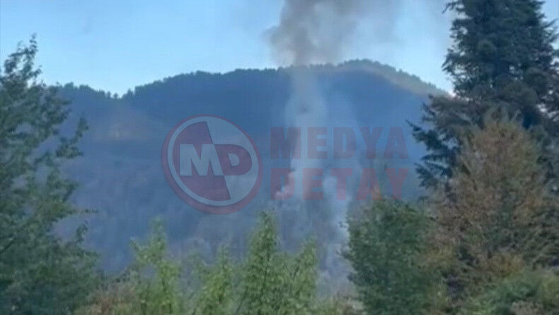 Sakarya Orman Yangini (2)-1