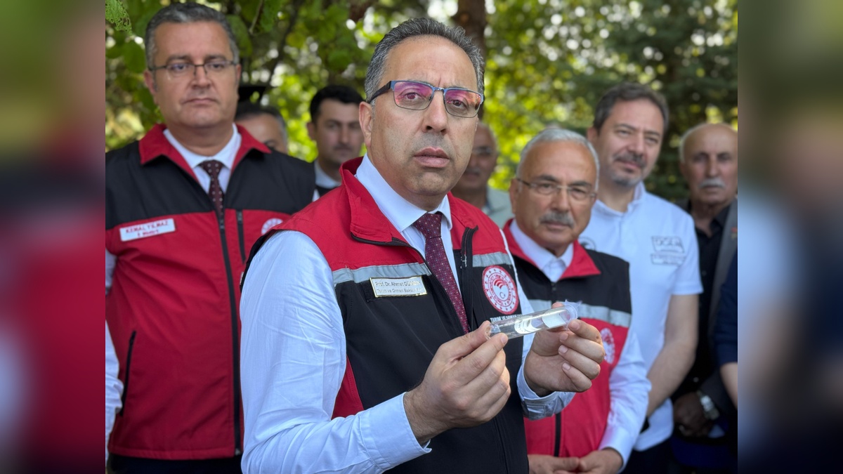 Ordu'da 245 bin samuray arısı doğaya salındı