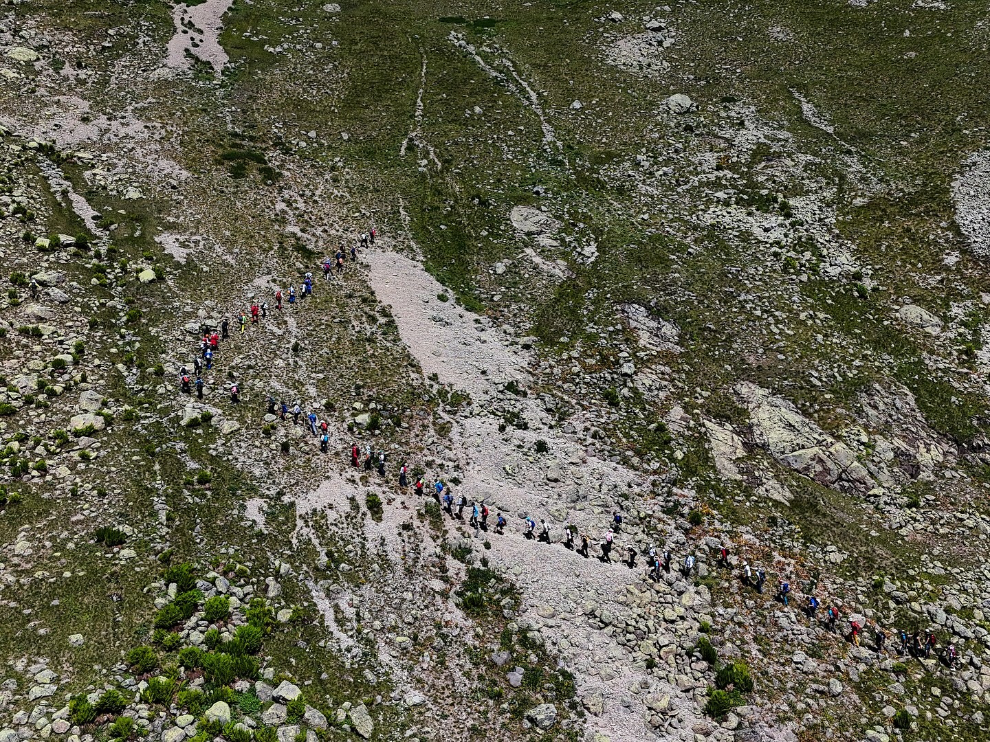 A W497948 01
