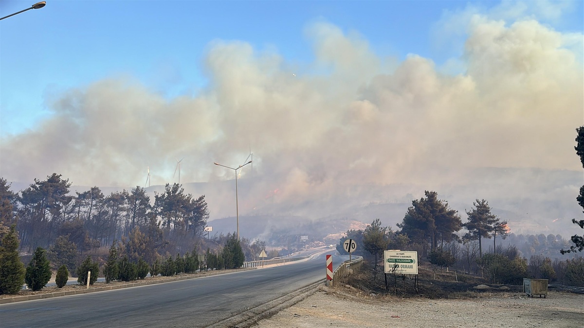 Çanakkale'de yangın: 2 bin 90 kişi tahliye edildi